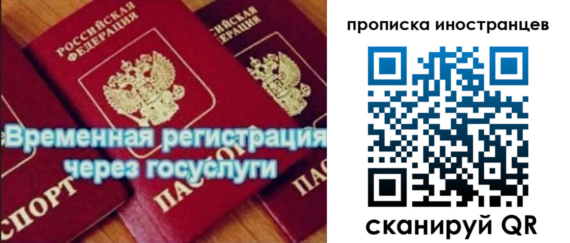 купить прописку в Камчатской области
