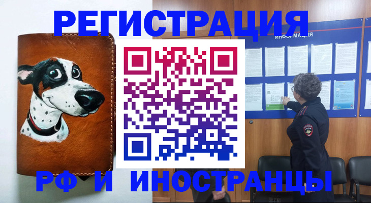 временная регистрация законно в Камчатской области